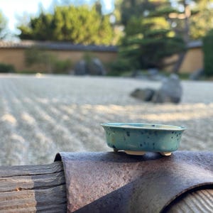 New! Tiny Oval Mame Bonsai Pot in Blue Caprice, A little less than 2 inches wide