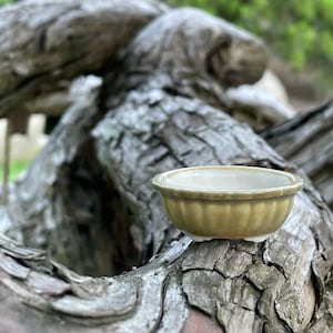 New! Tiny Scalloped Oval Mame Bonsai Pot in Matte Beach, About 1.5 inches wide
