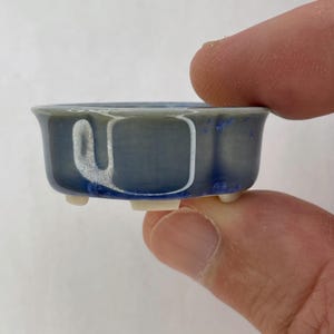 ¡Nuevo! Maceta pequeña ovalada redondeada para bonsái Mame en color azul cerúleo claro, de aproximadamente 3,8 cm de ancho.