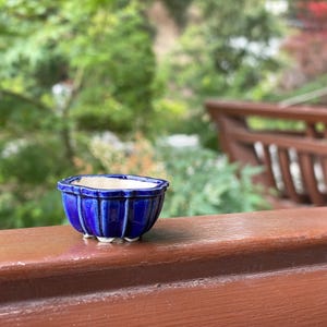 May include: A small, deep blue ceramic bonsai pot with a fluted, scalloped exterior design and a smooth, cream-colored interior. The pot features a rounded, multi-sided shape with small, integrated feet at the base for stability and elevation.