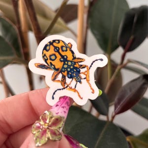 Funky Bug-stickers (3 stuks)