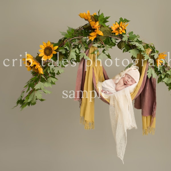 Newborn Digital Backdrop Sunflower Hammock Swing, Sunflower Swing Prop Boy or Girl, Digital Background, Digital Photography Composite