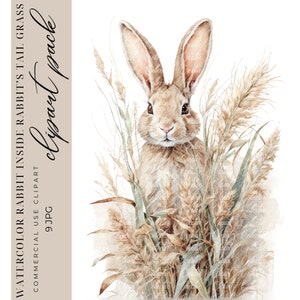 9 Hare in Rabbits Tail Grass Clipart, Easter Clipart, Watercolor Bundle, Junk Journals, Digital Craft, High-Quality JPGS, Paper Craft