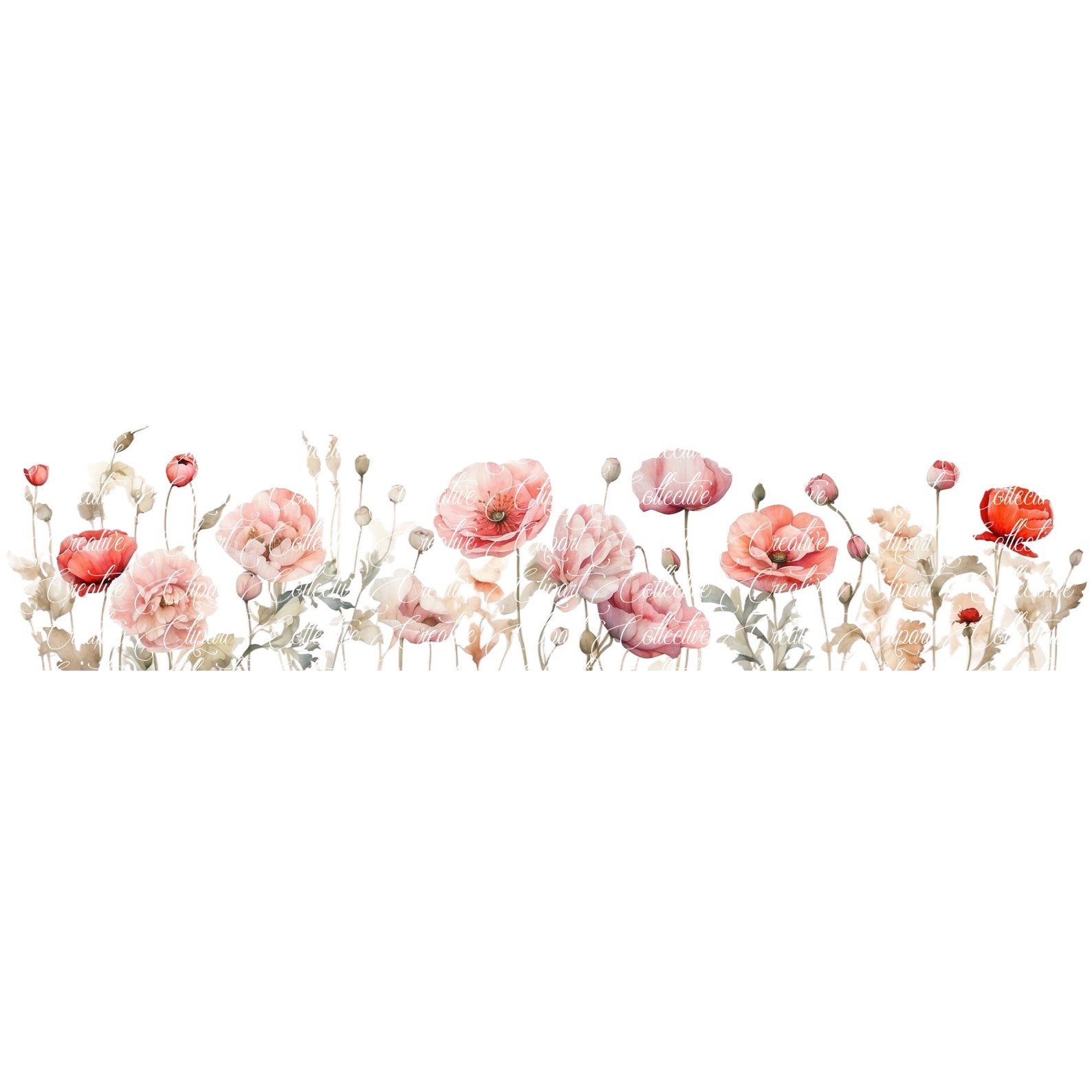 10 Wildflower Clipart, Wild Flower Border, Wild Flower Clipart, Poppies