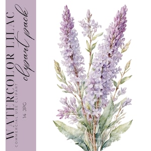 14 imágenes prediseñadas lilas de acuarela, imágenes prediseñadas de flores lilas, imágenes prediseñadas florales, imágenes prediseñadas de primavera, artesanía de papel digital, JPGS de alta calidad, uso comercial