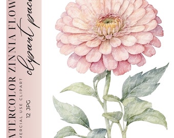 12 aquarel Zinnia clipart, bloem clipart, bloemen clipart, lente clipart, digitale papier ambachtelijke, hoogwaardige JPGS, commercieel gebruik
