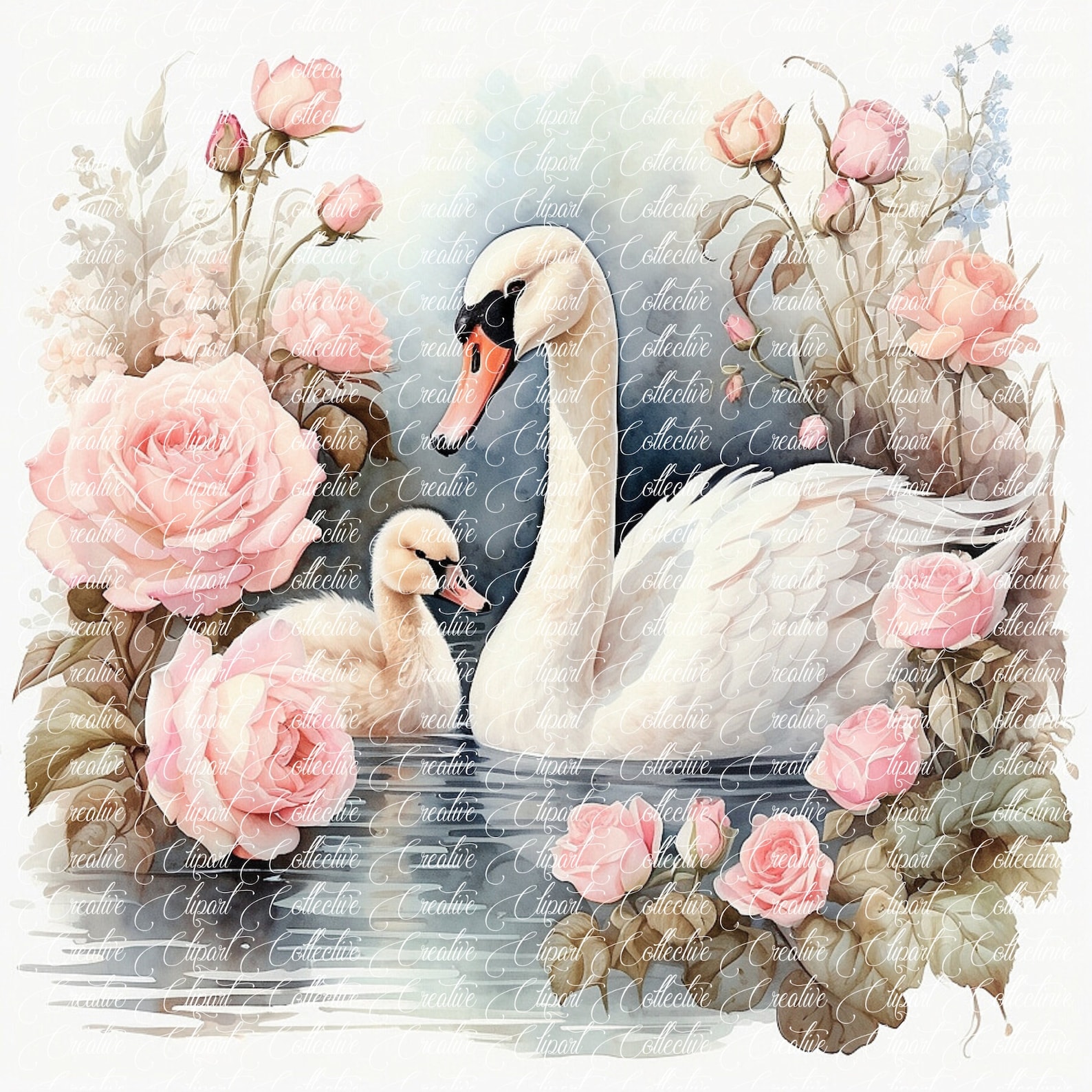 12 Swan Clipart, Mamma Swan and Baby Swan Clipart Bundle, Watercolor ...