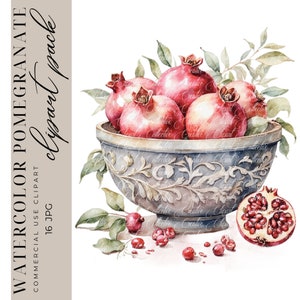 16 Pomegranate Clipart, Watercolor Pomegranate Clipart, Fruit Clipart, Spring Art, Digital Paper Craft, High-Quality JPGS, Commercial Use