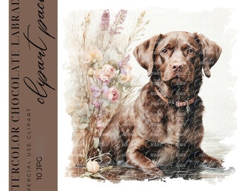 10 Chocolate Labrador Hunting Dog Clipart, Floral Dog Clipart, Pet Clipart, Junk Journals, Digital Craft, High-Quality JPGS, Paper Craft