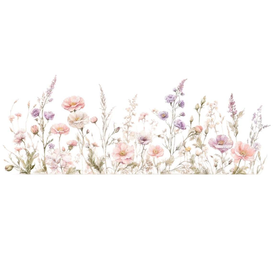 10 Wildflower Clipart, Wild Flower Border, Wild Flower Clipart, Poppies