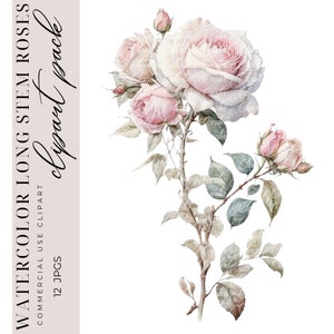 12 imágenes prediseñadas de rosas de tallo largo, imágenes prediseñadas de rosas, imágenes prediseñadas florales, diario basura, diseño de bodas, suministro de álbumes de recortes, descarga digital JPGS de alta calidad