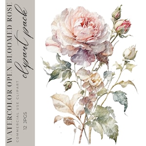 12 aquarel Rose clipart, open Rose clipart bundel, afdrukbare aquarel clipart, scrapbook aanbod, hoogwaardige JPGS, digitale download