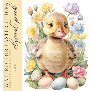 14 conjunto de imágenes prediseñadas de pollitos y huevos de Pascua, acuarela de pollitos florales de Pascua, JPG de alta calidad, descarga digital, tarjetas, arte de pared