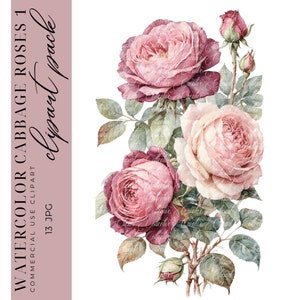 13 Rose Clipart, Aquarell Cabbage Rose Clipart, French Country Clipart, druckbare digitale Papierkunst, hochwertige JPGS, kommerzielle Nutzung