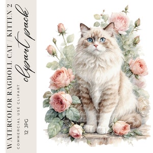 12 Ragdoll Cat Clipart, Romantic Cottage Cat Clipart, Watercolor Cat Kitten Clipart, Scrapbooking, JPGs, Digital Paper Craft, Commercial Use