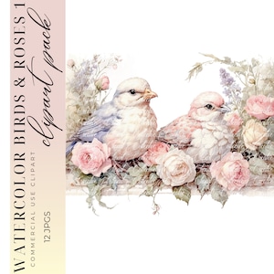 12 Love Birds Clipart, Watercolor Birds Clipart, Junk Journal, Sublimation Digital Download, Collage, High-Quality JPGS, Commercial Use