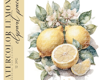 12 Lemon Clipart, Watercolor Lemon Flower Clipart, Fruit Clipart, Spring Art, Digital Paper Craft, High-Quality JPGS, Commercial Use