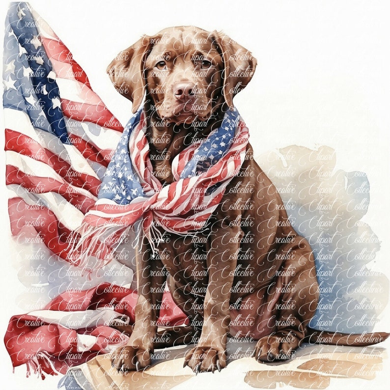12 Patriotic Chocolate Lab, Watercolor Chocolate Labrador Clipart, Junk ...