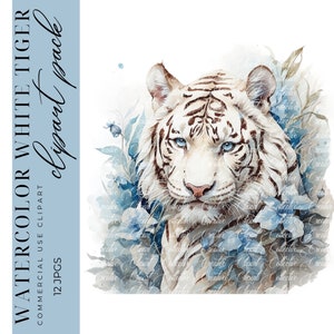 12 White Tiger Clipart, Watercolor Tiger Clipart, Animal Clipart, Africa Art,  Stickers, Junk Journal, High-Quality JPGS, Commercial Use