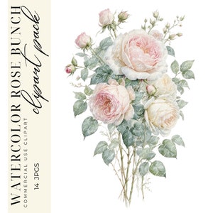 14 clipart de rosa botânica, clipart floral, arte romântica, diário de lixo, design de casamento, fornecimento de álbum de recortes, download digital JPGS de alta qualidade