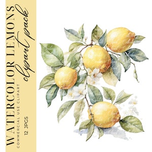 12 Clipart di limone, Clipart di frutta, Arte della frutta, Diario spazzatura, Clipart acquerello stampabile, Fornitura di album, Download digitale JPGS di alta qualità