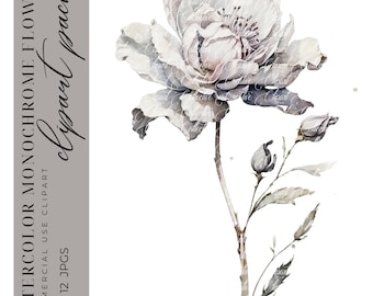 12 Monochrome Flower Cliprat, Floral Clipart, Black And White Clipart, Junk Journal, Watercolor Clipart, High-Quality JPGS, Commercial Use