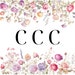 Creative Clipart CLTV