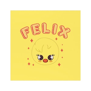 Car Magnets,5&#39;&#39;x5&#39;&#39;, Fridge-friendly option — removable, reusable, and mark-free, felix gift, felix merch, felix inspired, kpop idol gift