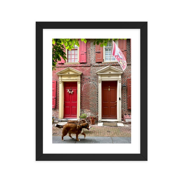 Dogs down the Alley, Dog photography, City photography, Philadelphia photography, Wall print