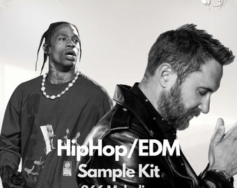 Hip Hop/EDM Sample Kit: 266 Melodies!
