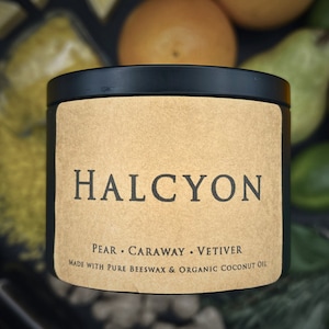 Pear, Caraway & Vetiver Beeswax Wax Melts - Halcyon - Handmade with Pure Beeswax and Organic Coconut Oil - Pack of 12