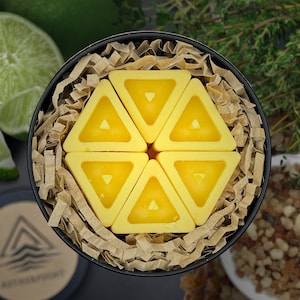 Lime, Thyme & Frankincense Beeswax Wax Melts - Elysian - Handmade with Pure Beeswax and Organic Coconut Oil - Pack of 12