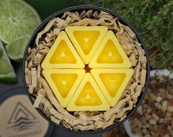 Lime, Thyme & Frankincense Beeswax Wax Melts - Elysian - Handmade with Pure Beeswax and Organic Coconut Oil - Pack of 12
