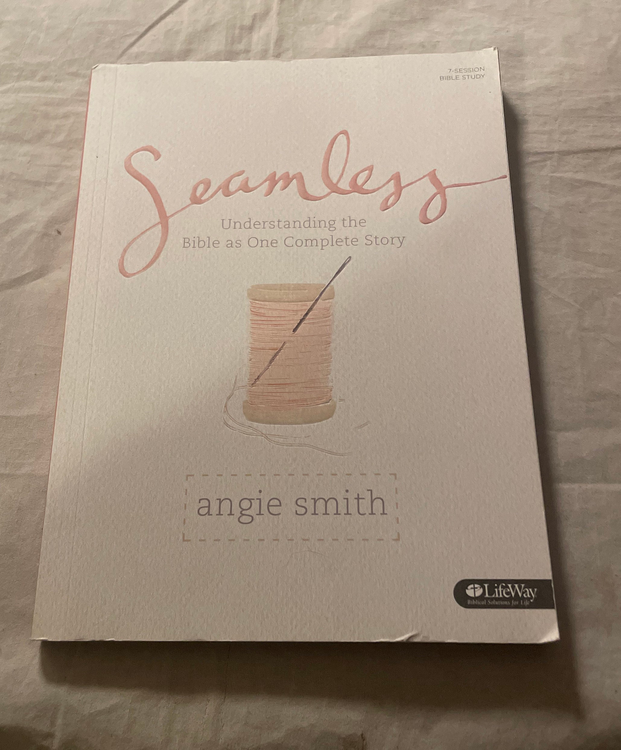 Seamless: Understanding the Bible as One Complete Story by Angie Smith ...