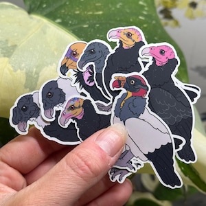 American Vulture Sticker Pack