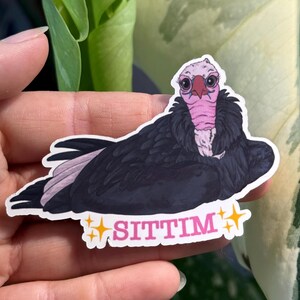 SITTIM Sticker
