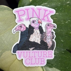 Pink Vulture Club Sticker