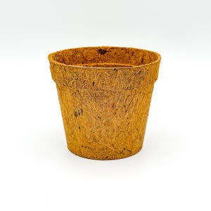 May include: A brown, biodegradable, coconut coir pot for planting small plants or seedlings.