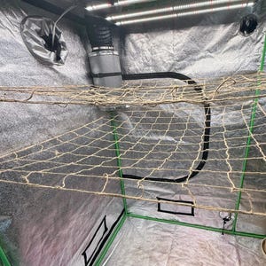 Natural Jute Plant Trellis Net 2x4, 3x3, 4x4, 5x15| Biodegradable Garden Support | SCROG Growing image 4