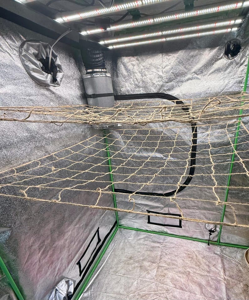 Natural Jute Plant Trellis Net 2x4, 3x3, 4x4, 5x15| Biodegradable Garden Support | SCROG Growing image 4