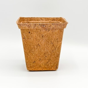 Square Biodegradable Seedling Pots (4, 8, 16, 50 Packs) | Natural Coco Coir Planters | Plastic-Free