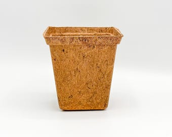 Vasi quadrati biodegradabili per piantine (confezioni da 4, 8, 16, 50) / Vasi in fibra di cocco naturale / Senza plastica