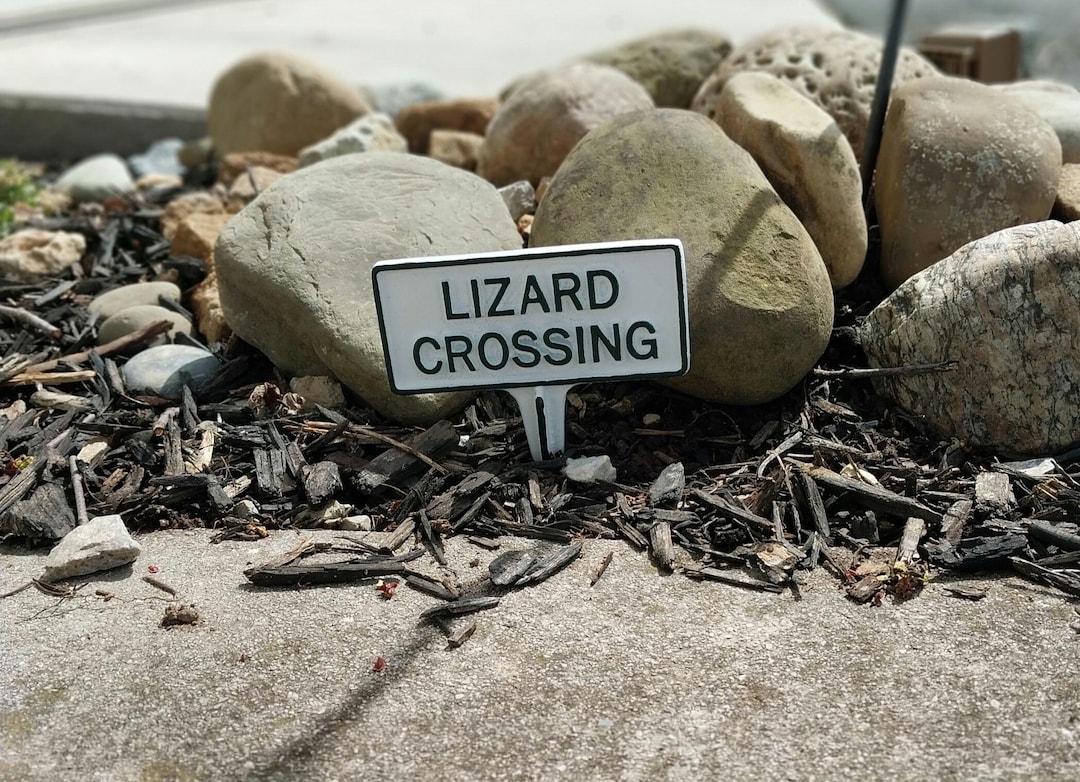 Cast Aluminum Lizard Crossing Sign - Etsy