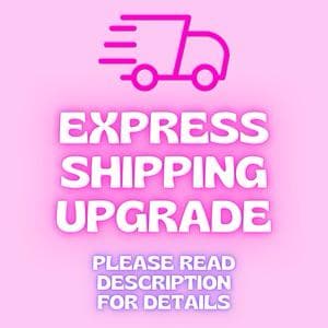 Shipping Upgrade/ Priority Mail
