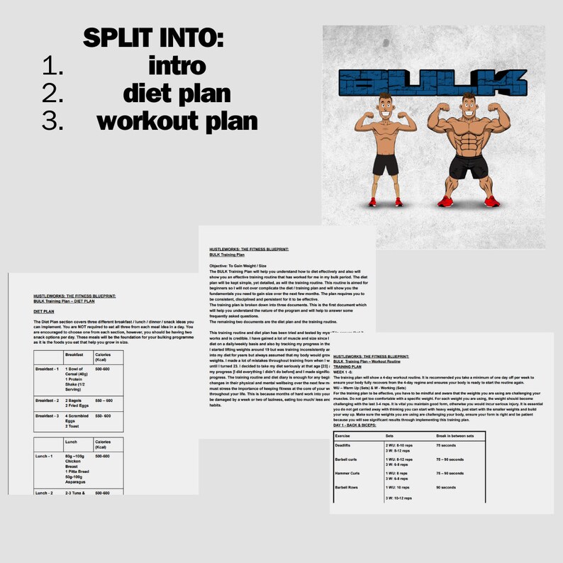 12 Week Fitness Ebook Guide / Skinny to Bulk Transformation ...