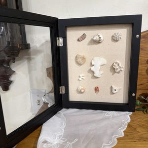 May include: A black framed display case with a glass door, showcasing various seashells and coral pieces against a beige background. The case is open, revealing the collection. A white lace cloth with floral embroidery is draped below.