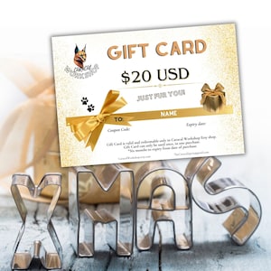 Carte-cadeau instantanée de 20 dollars US à dépenser, chèque-cadeau par e-mail, bon de dernière minute à imprimer, téléchargement numérique, cadeau pour toutes les occasions !