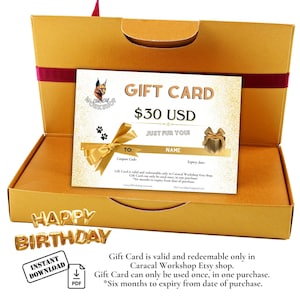 Sofortige Geschenkkarte 30 USD Dollar ausgeben, E-Mail-Geschenkzertifikat, Last-Minute-Gutschein zum Ausdrucken, digitaler Download, Geschenk für jeden Anlass