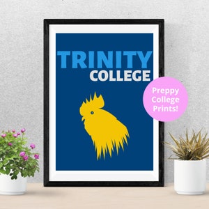 Trinity College Preppy Print