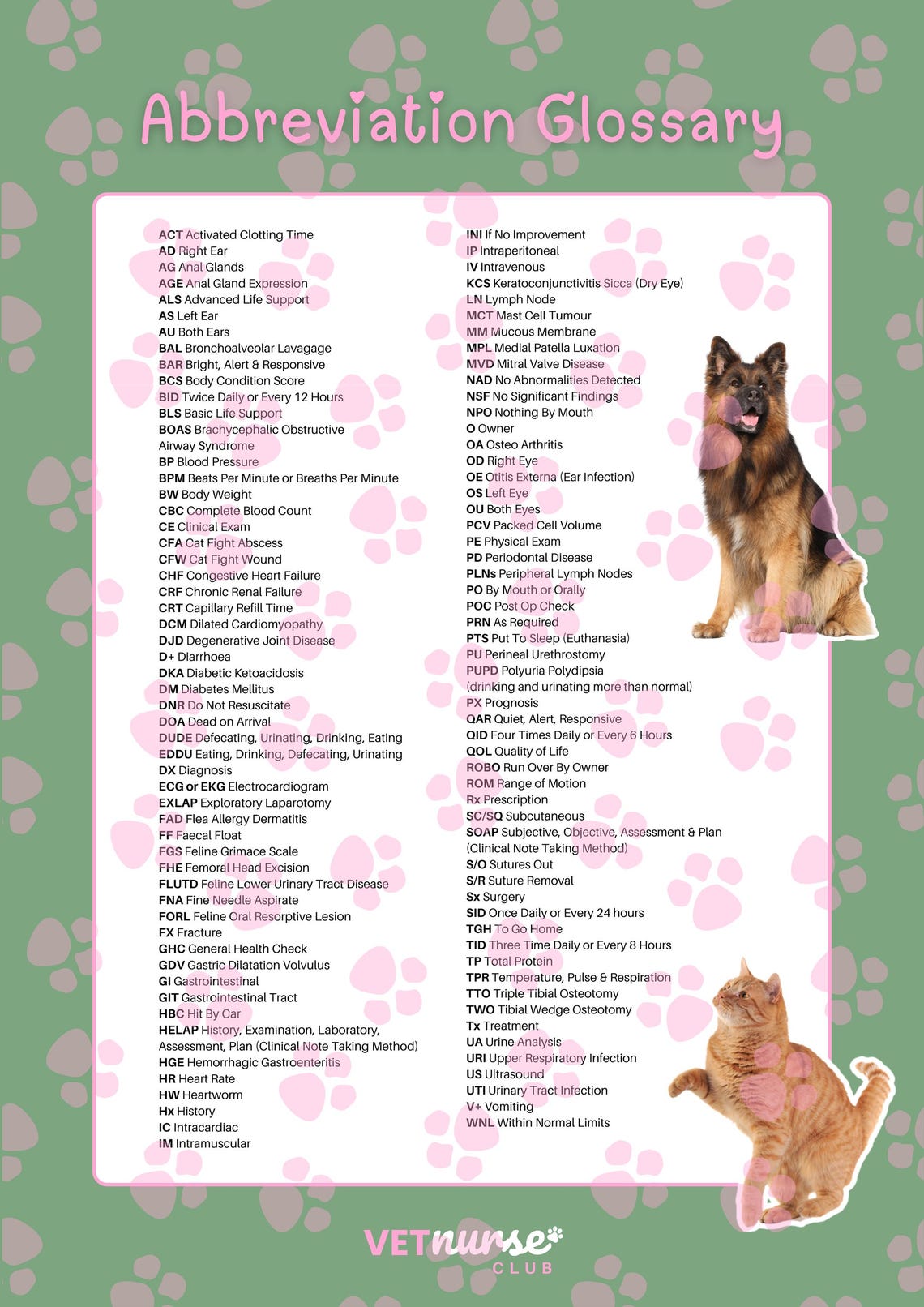 Glossary of Veterinary Abbreviations (digital Download) - Etsy